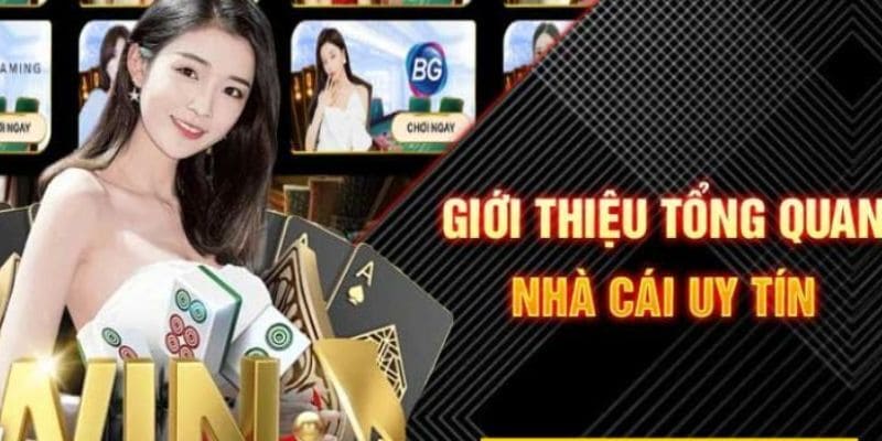 Giới thiệu chung về Top88